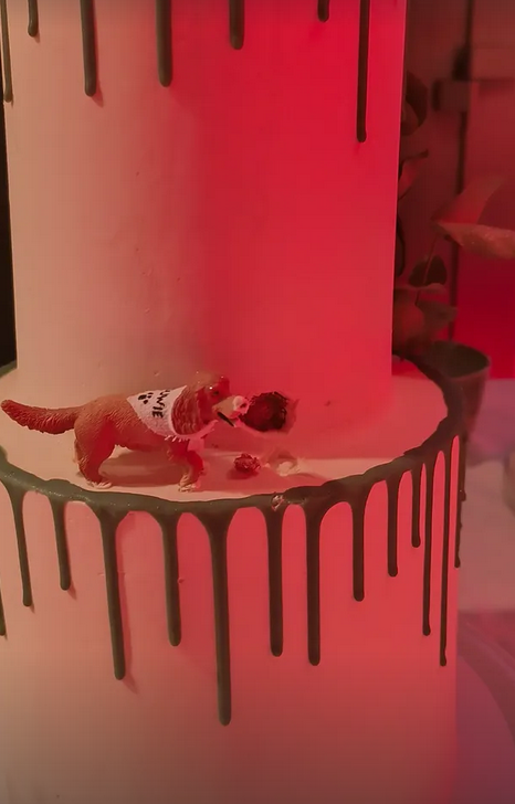 Supplement bij cake: drip